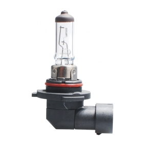 Obrázek pro Autožiarovka Z22 - H10 - PY20D 42W