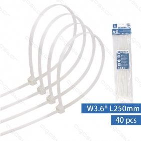 Obrázek pro Sťahovacie pásky, riteny 250x3,6mm, Biele - 40kusov