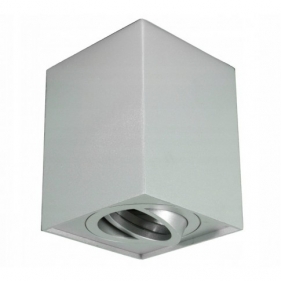 Obrázek pro Stropné bodové prisadené svietidlo TORGET hranaté (strieborná)