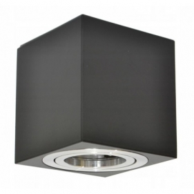 Obrázek pro Stropné bodové prisadené svietidlo TORGET MINI hranaté (čierna-strieborná)