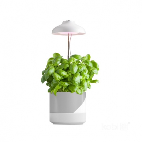 Obrázek pro PLANTY LED lampa pre rastliny VERDI 5W/220lm, Teplá biela