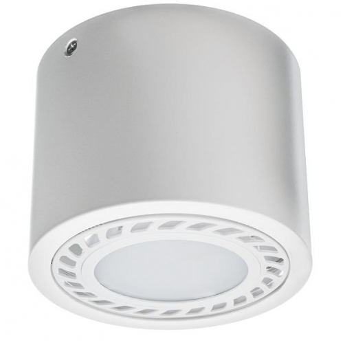 Obrázek pro Prisadené svietidlo OVAL-MINI , 1xAR111 (biela)