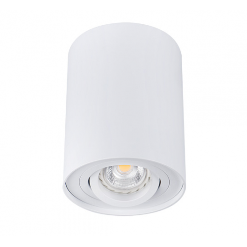 Obrázek pro Kanlux Stropné bodové prisadené svietidlo BORD DLP-50-W valcové (biela)