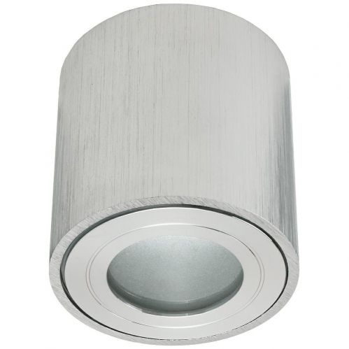 Obrázek pro Vodeodolné Stropné bodové prisadené svietidlo ERMETICO-O-S valcové IP44 (brúsené striebro)