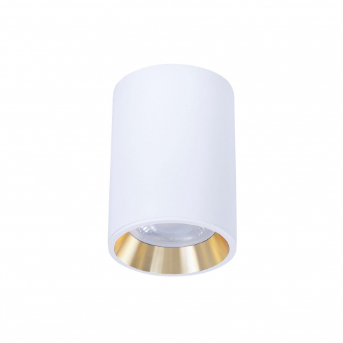 Obrázek pro Stropné bodové prisadené svietidlo CHLOE valcové ( biela-zlatá)