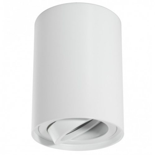 Obrázek pro Stropné bodové prisadené svietidlo VALSE 1xGU10 valcové (biela pieskovaná)