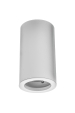 Obrázek pro Stropné bodové prisadené svietidlo PARMA valcové (biela matná)